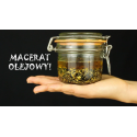 DIY Macerat olejowy